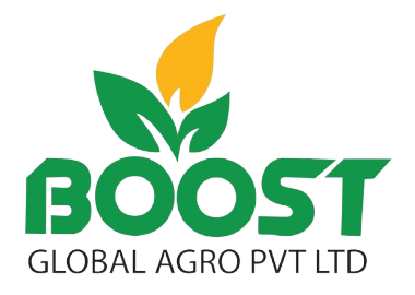 Boost Global Logo